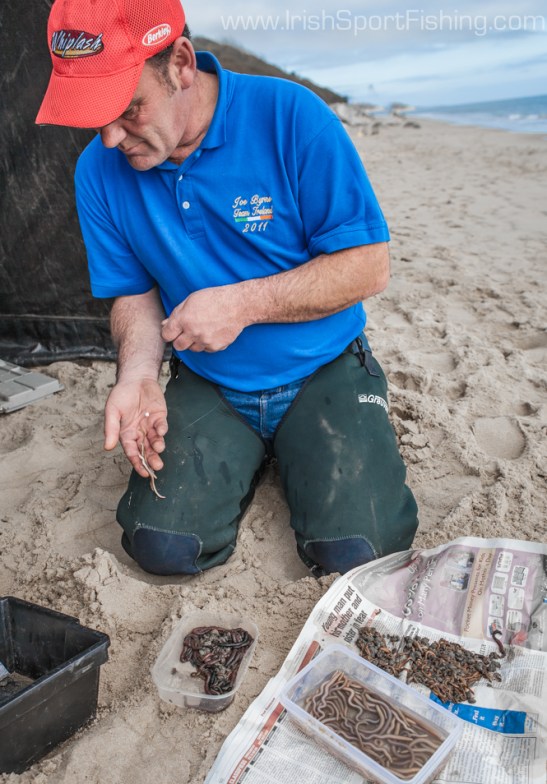 Maddies, Whites and Lug are the main baits these days