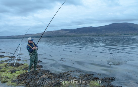 Heiko Dreier brings yet another bass to the shore