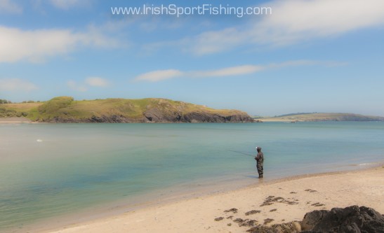 Clonakilty Fishing